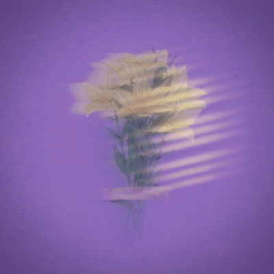 Babyのジャケット写真