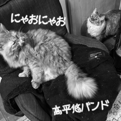 Nyao-Nyao Front Cover