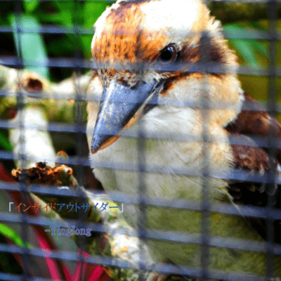 inside-outsider Front Cover