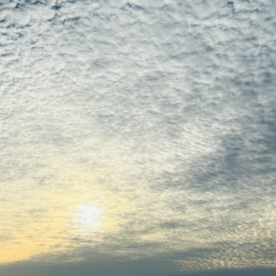 In the morning without you Front Cover