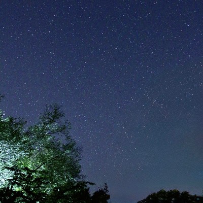 starry night Front Cover