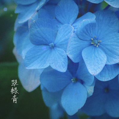 Verdant Azure Front Cover