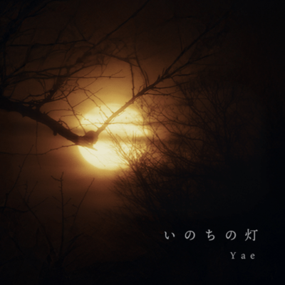 Spirit of light Front Cover