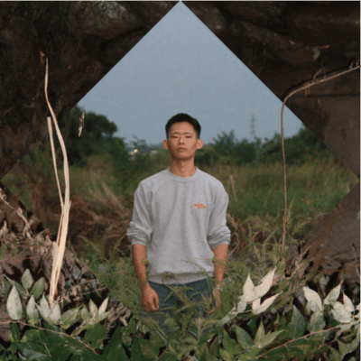 半分だけの魂のジャケット写真