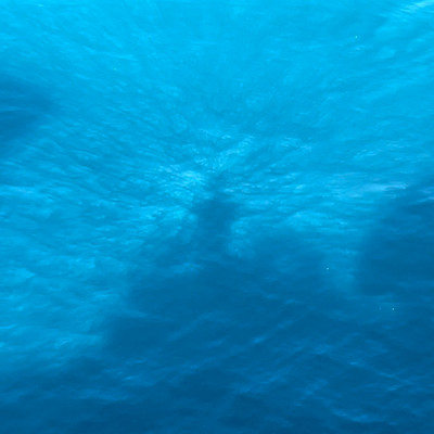 Unchainのジャケット写真