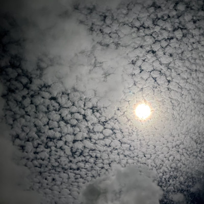 チチユーのジャケット写真