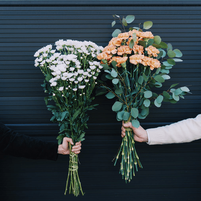 新星 (feat. YeYe)のジャケット写真