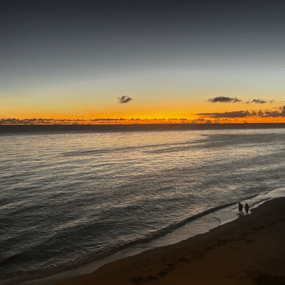 It's only half-hearted...のジャケット写真