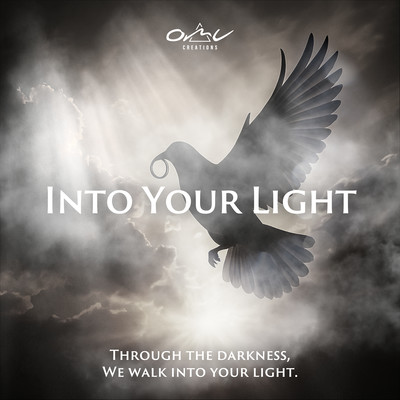 Into Your Lightのジャケット写真
