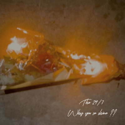 Why you so shine?? Front Cover