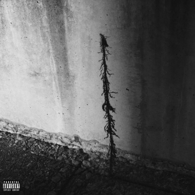 G√のジャケット写真