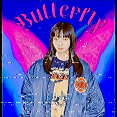 Butterfly Front Cover