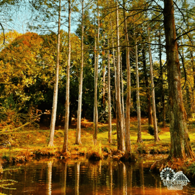 Wheare are u now?のジャケット写真