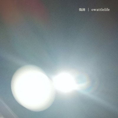 傷跡のジャケット写真