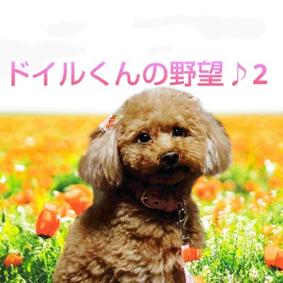 Doyle's Ambitionseason2 Front Cover