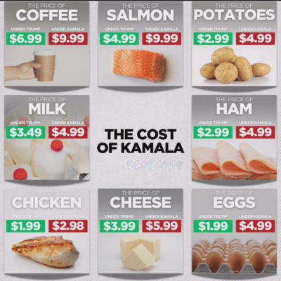 THE COST OF KAMARA (REDPINK@ remix)のジャケット写真