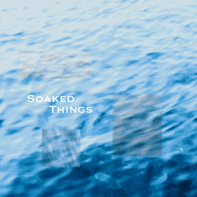 Soaked Things Front Cover