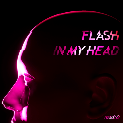 FLASH IN MY HEAD Front Cover