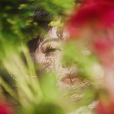 Dolphinのジャケット写真