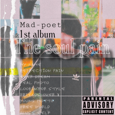 The soul pain Front Cover