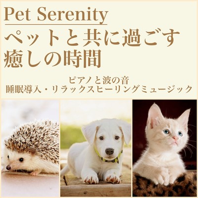Pet Serenity Healing Time to spend with pets with pianos and waves -Sleep introduction / Relaxing healing music Front Cover