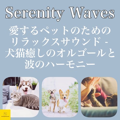 SERENITY WAVES Relaxing sound for pets that loves pets -dog and cat healing music box and wave harmony Front Cover