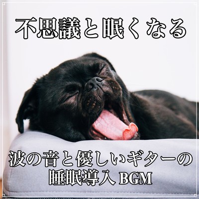 Mysterious and sleepy sound of sound and introduction of gentle guitar sleep BGM Front Cover