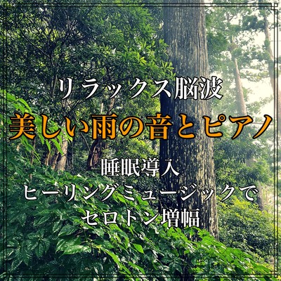 ぐっすり眠れる睡眠音楽。脳をリラックスさせ深い眠りへ導く癒しのSleep Music集のジャケット写真