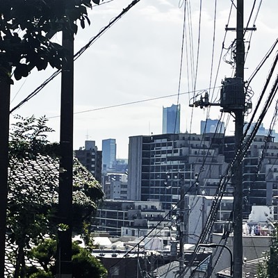 levelline Front Cover