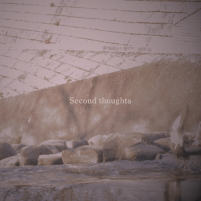Second thoughts Front Cover