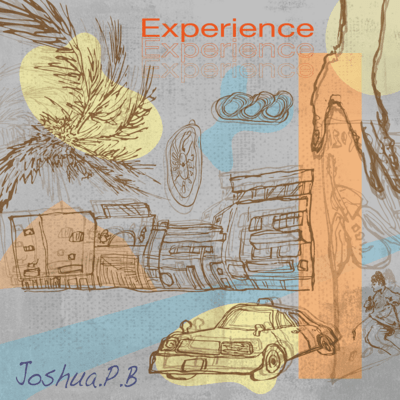 Experience Front Cover