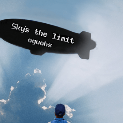 sky's the limitのジャケット写真