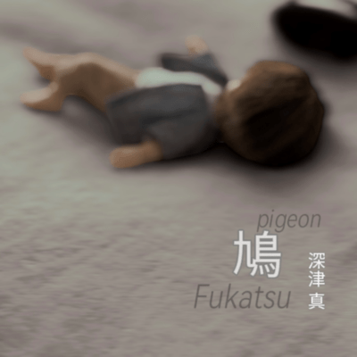 pigeon (Live at Sunhall, Osaka, 1998) Front Cover