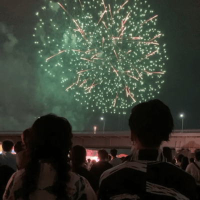 Løve again Front Cover