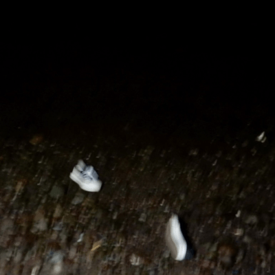 Fiash back Front Cover