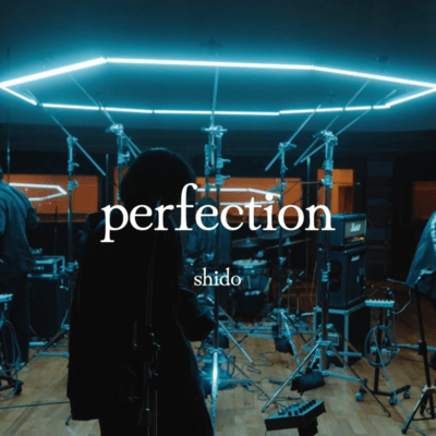 perfection (live version 0218) Front Cover
