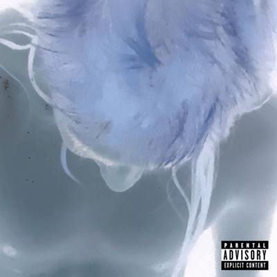 MUKIDASHI Front Cover