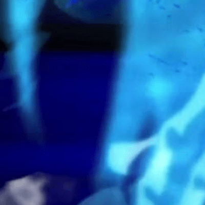 sad freeのジャケット写真