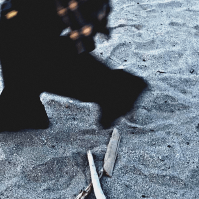 さがしもののジャケット写真