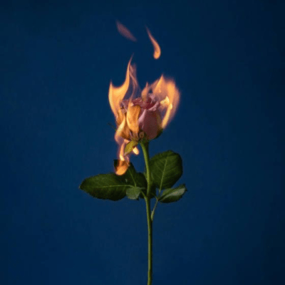 i wantのジャケット写真