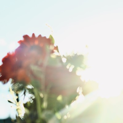 Precious timeのジャケット写真