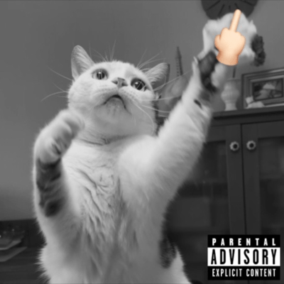 Fuckin' daysのジャケット写真