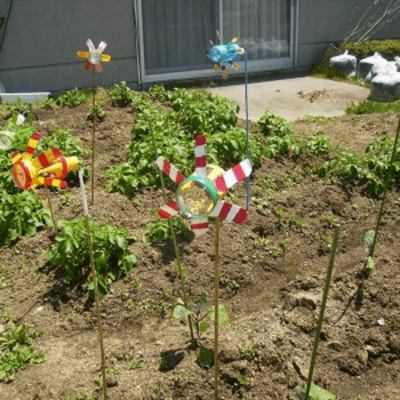 Visible wind Front Cover