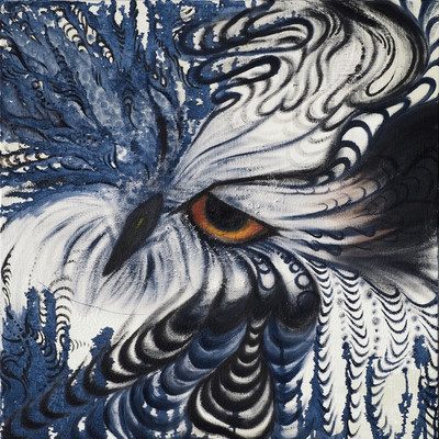 Owls lead the night Front Cover