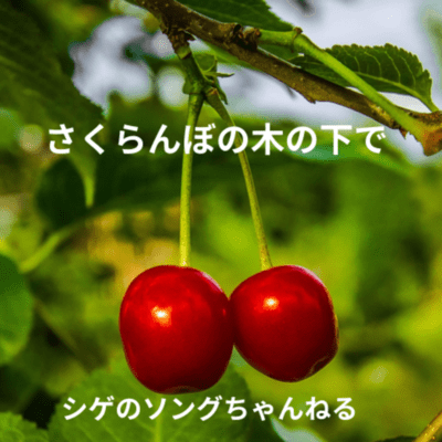 Under the cherry tree Front Cover