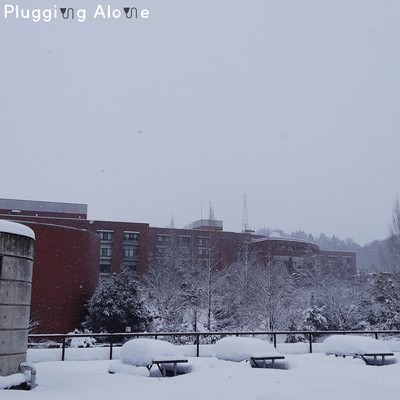 Plugging Alone Front Cover