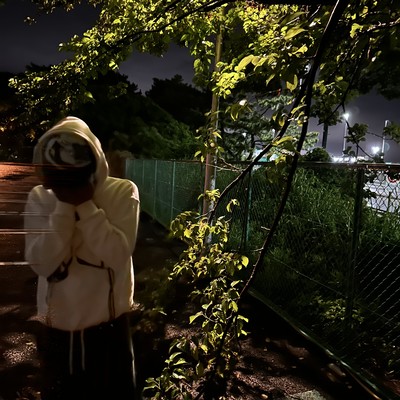 F33Lのジャケット写真