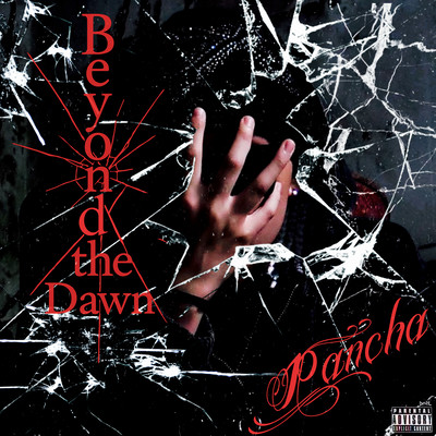 BEYOND THE DOWNのジャケット写真