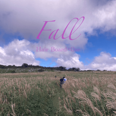 Fallのジャケット写真