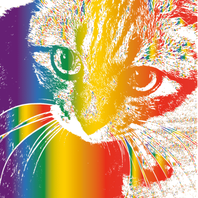 枯れた花のジャケット写真